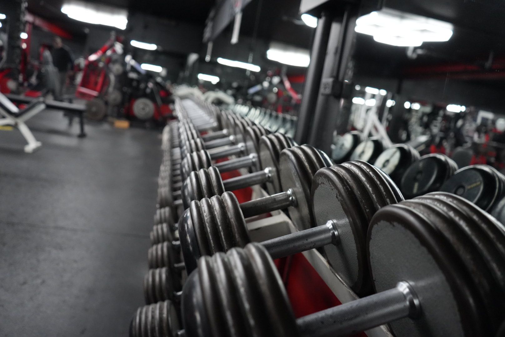 A row of dumbbells are lined up in a gym.