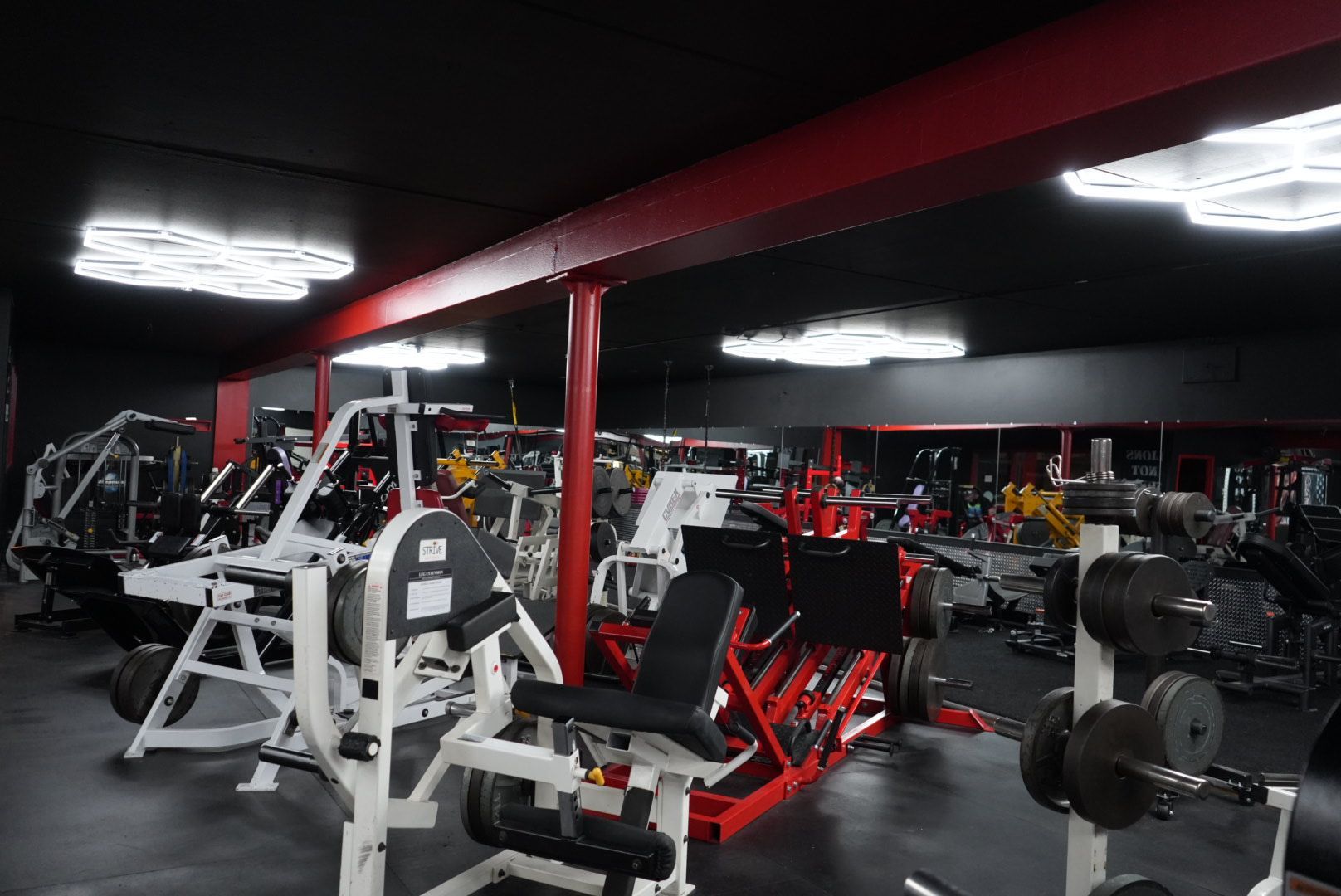 Advanced shoulder training machines at Prodigy Gym, designed for lateral raises, presses, and rear deltoid development.