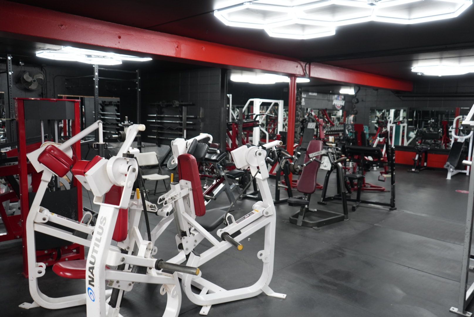 Premium arm-focused gym machines at Prodigy Gym, offering targeted biceps and triceps training for all fitness levels.