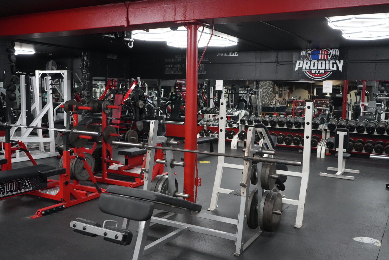 Cutting-edge arm exercise equipment at Prodigy Gym, perfect for building muscle definition and improving upper body strength.