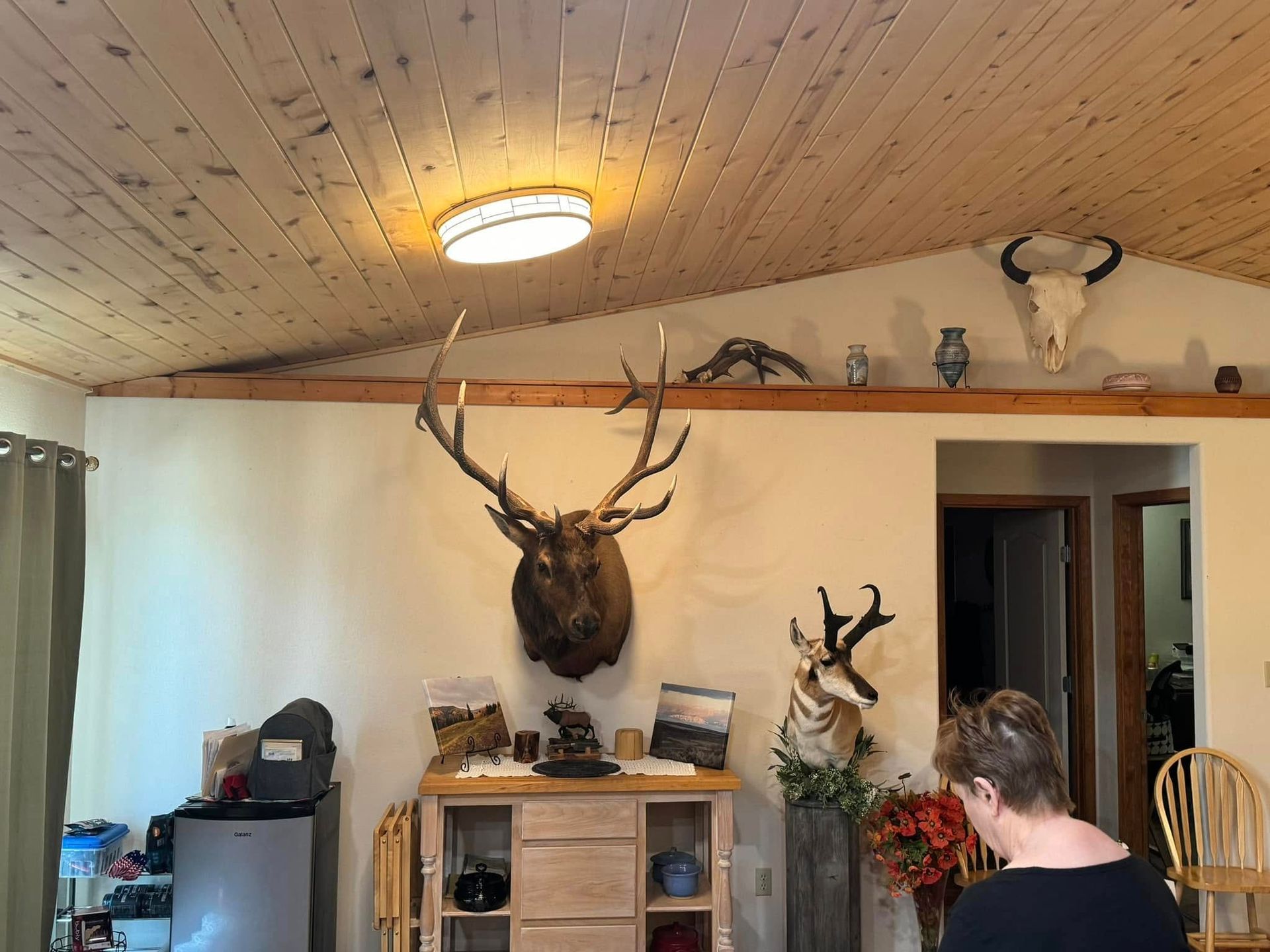 A woman sits in a living room with a deer head on the wall
