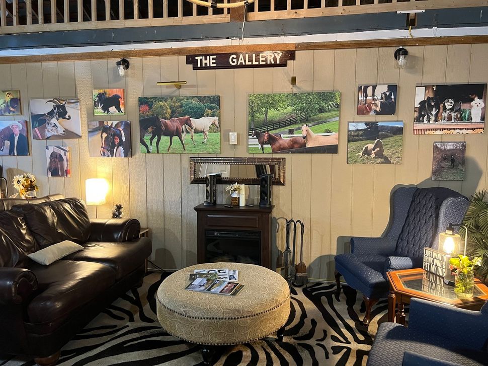 Cozy room with leather sofa, blue chair, round ottoman, zebra rug, wall photos, and a sign reading “THE GALLERY.”