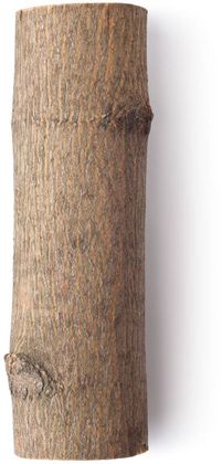 tronco di legno