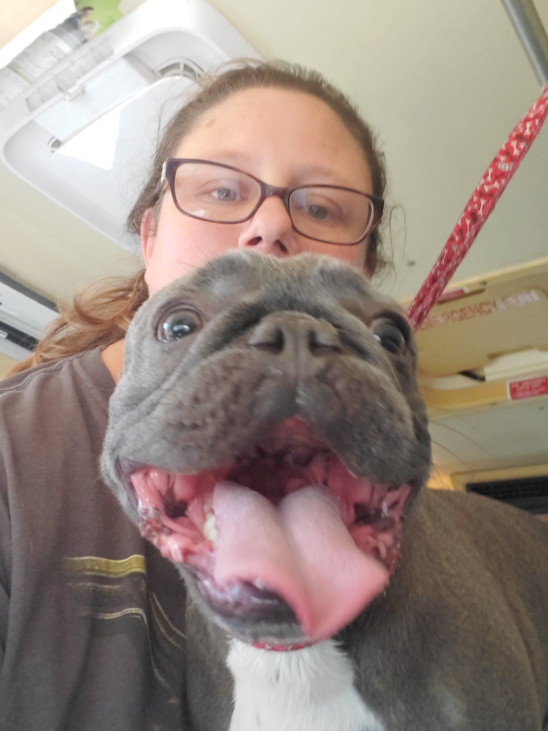 Happy Dog And Client — Apache Junction, AZ — Dashing Groomer