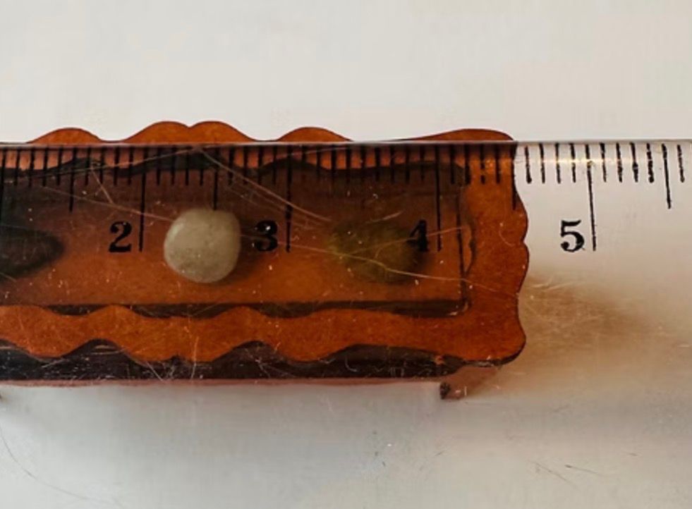 MUSEUM/COLLECTOR CABINET LONG 1/48  scale KIT