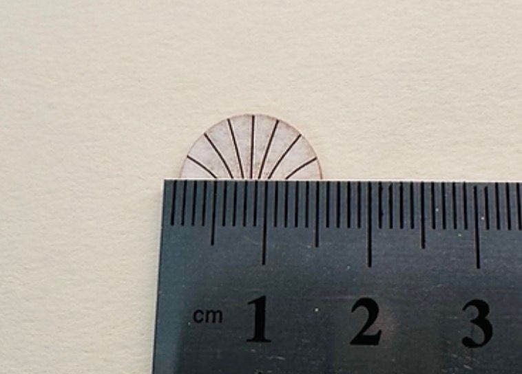 ART DECO PEACOCK WALL SCONCES 1/48 scale KIT