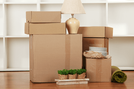 removal services