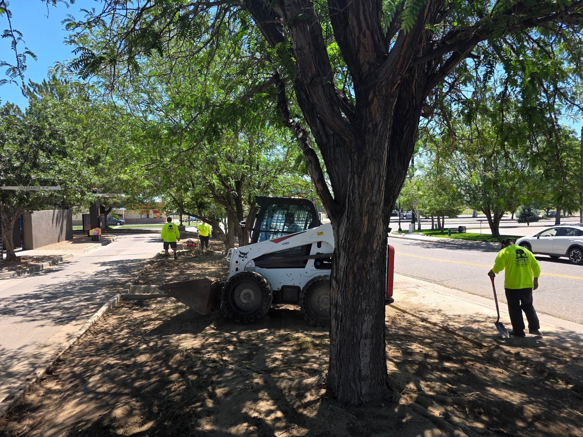 Workers in neon safety vests use a Bobcat loader to clear dirt and debris around trees along a sunny roadside.