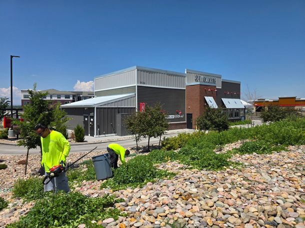 Two workers in bright neon shirts trim weeds near a rocky garden bed in front of a modern commercial building.
