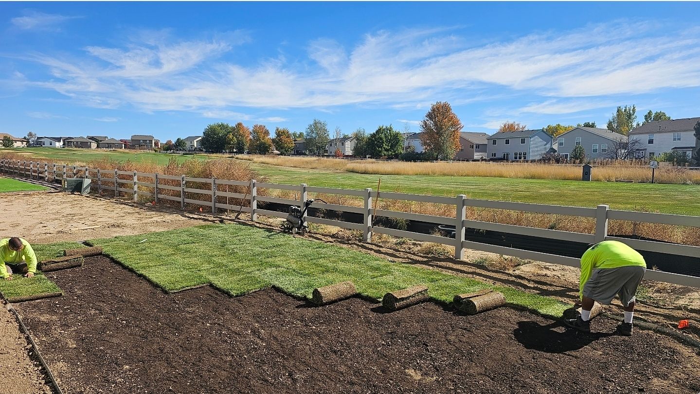 Two workers in bright yellow shirts install sod in a yard next to a white fence, with a suburban neighborhood in the back.