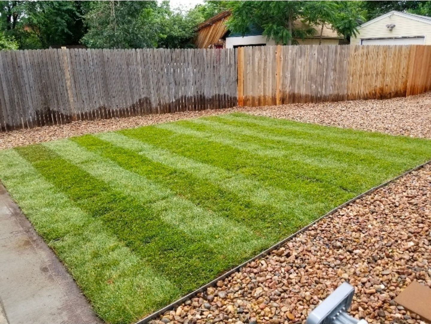 A rectangular patch of freshly laid green sod with visible mowing stripes, surrounded by gravel in a residential yard.