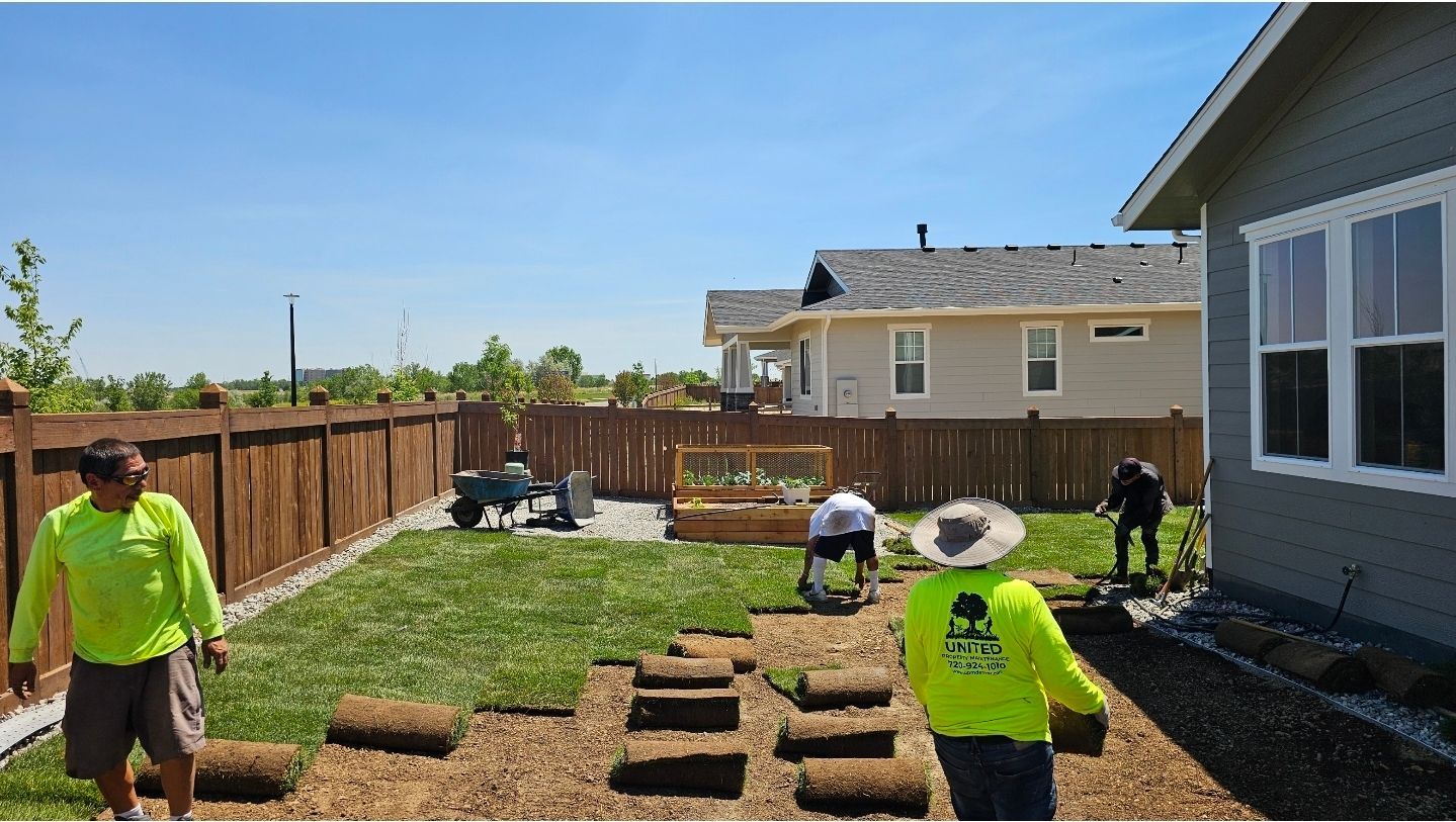 Three workers in neon green shirts lay sod in a residential backyard with a wood fence and house on a sunny day.