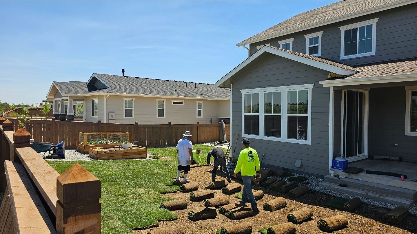 Workers lay down sod patches on a dirt yard next to a gray house under a clear blue sky.
