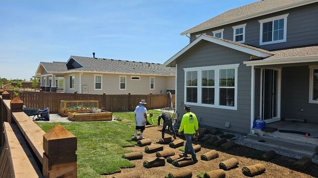 Workers lay down sod patches on a dirt yard next to a gray house under a clear blue sky.