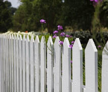 Outside view of the white colour residential picket fences in Ballarat, Victoria.