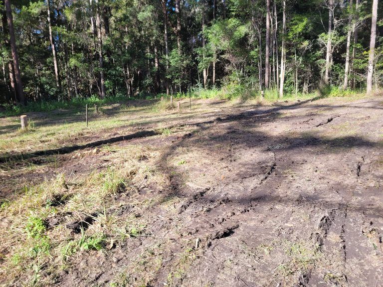 A Dirt Road in the Middle of a Forest With Trees in the Background — Al's Excavation in Bridges, QLD