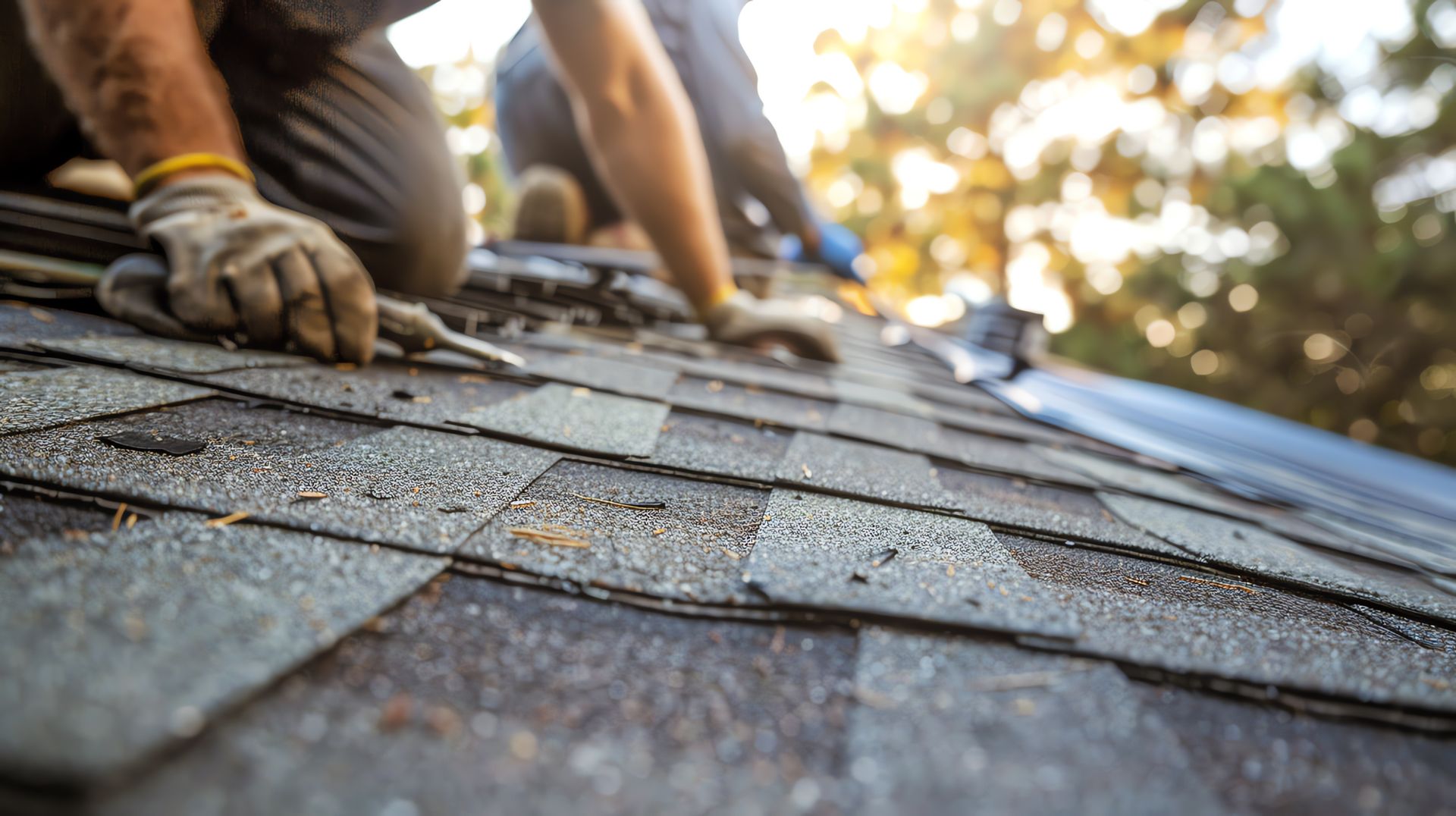 Close-up of workers installing new shingles on a residential roof during a sunny day.