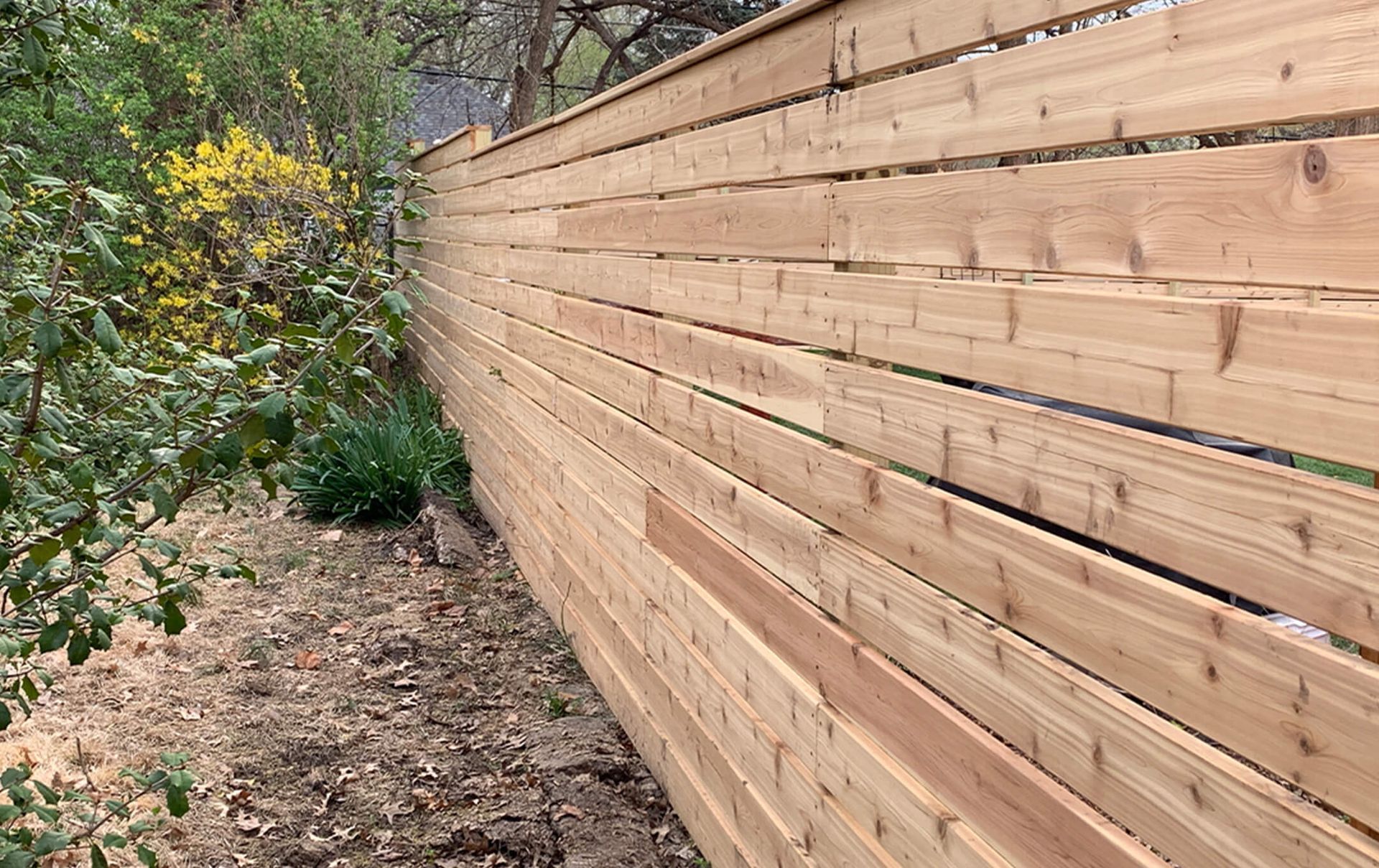 A wooden fence is surrounded by trees and leaves in a backyard.