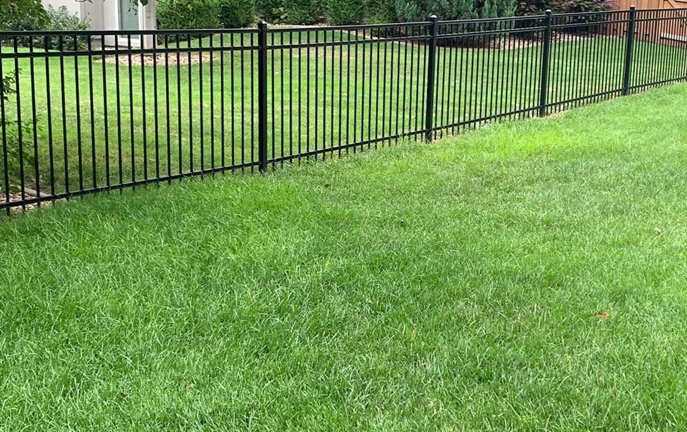A black fence surrounds a lush green lawn in a backyard.