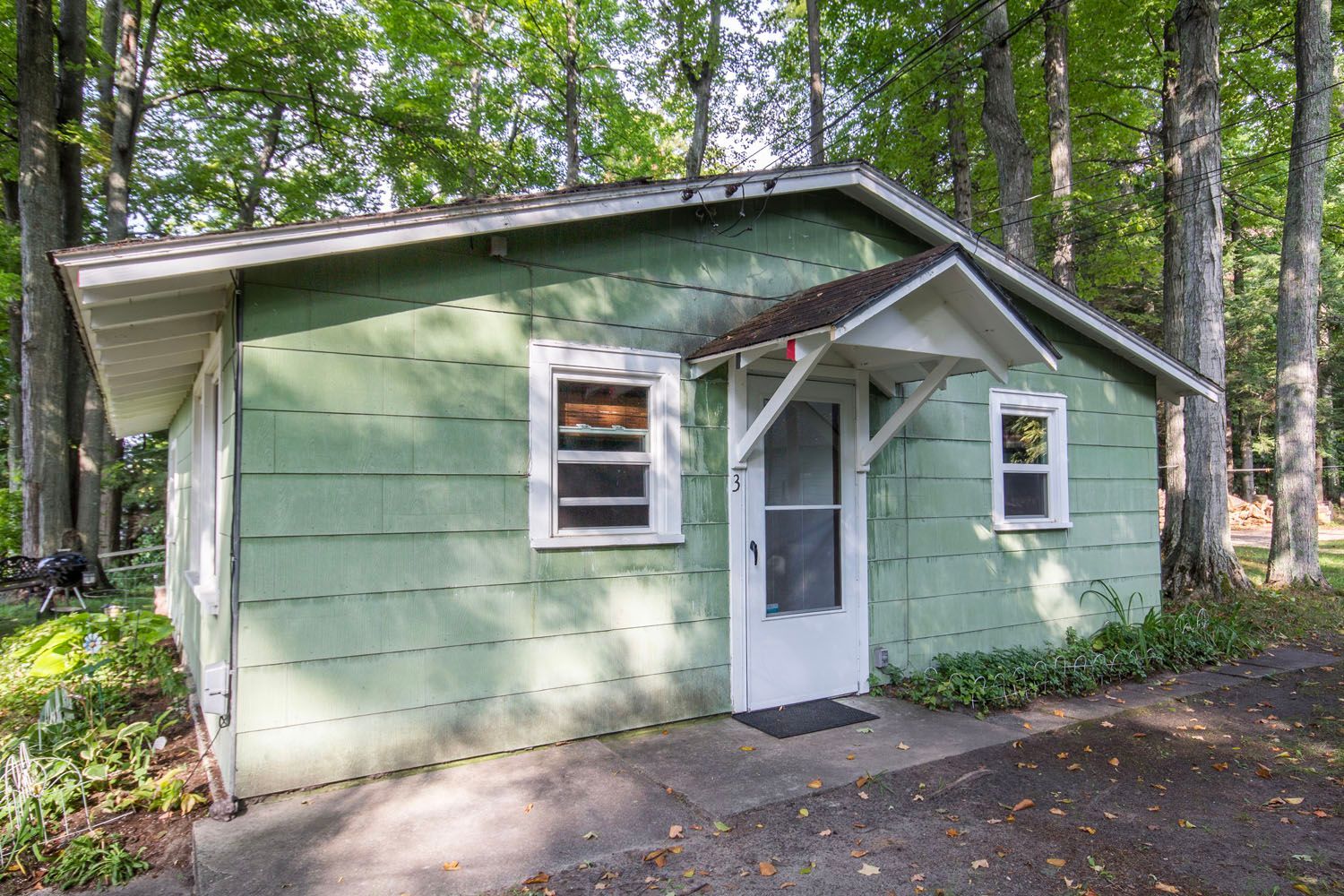 A small green house with a white door is surrounded by trees