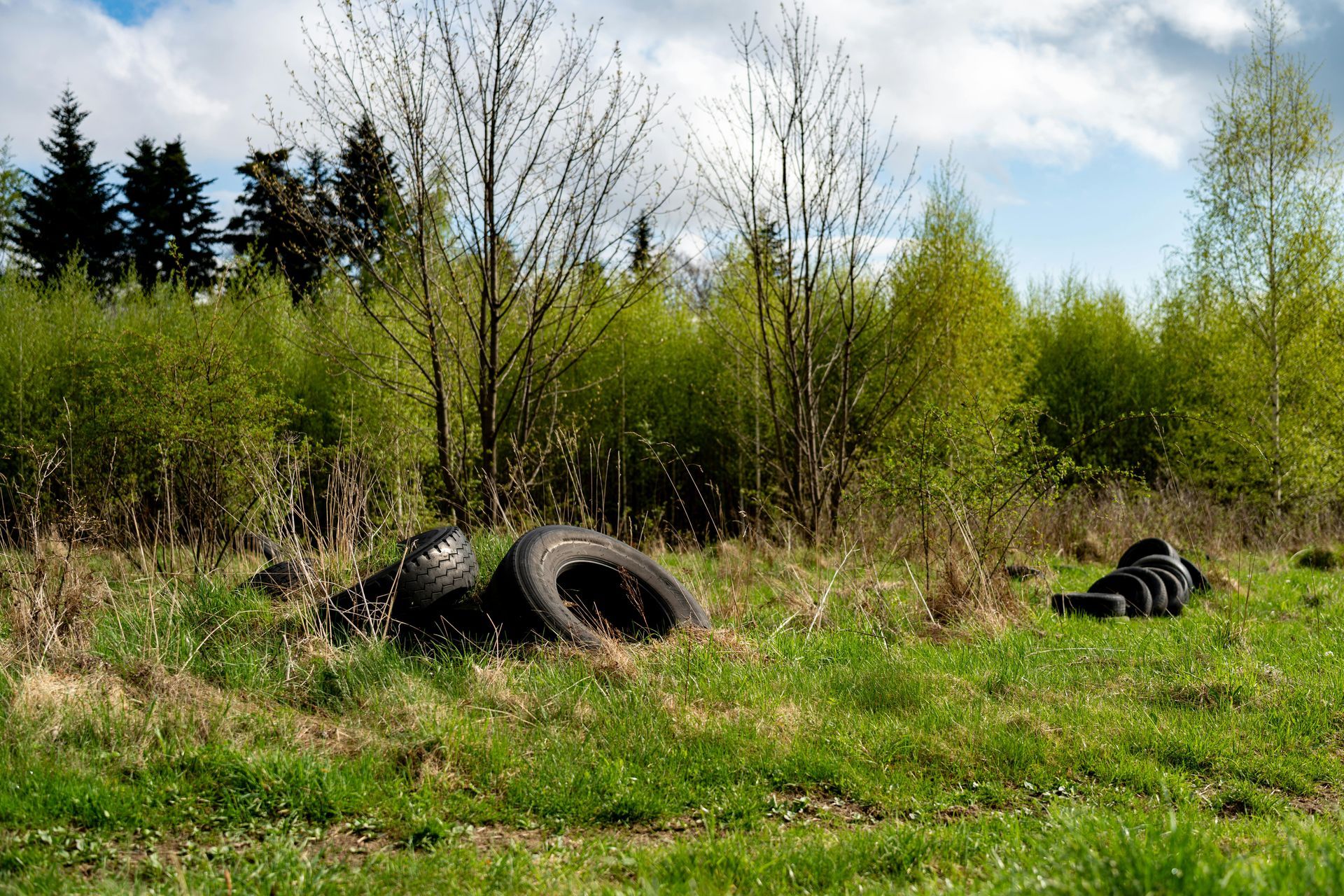 Three discarded tires in a grassy field with trees and bushes under a cloudy sky.