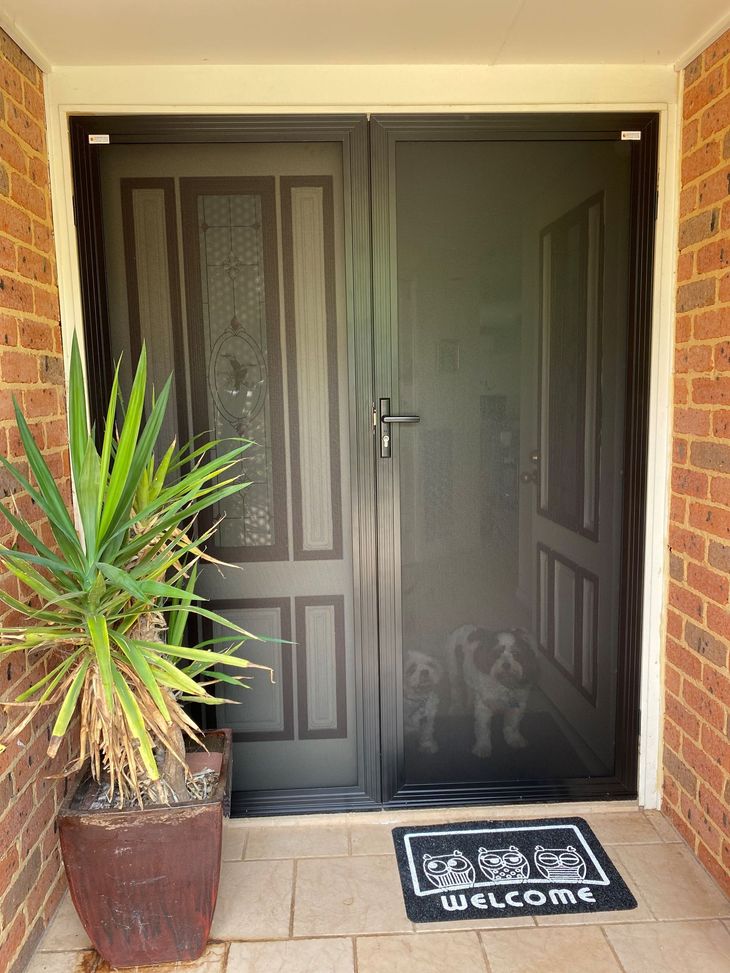 AluGard security double door 