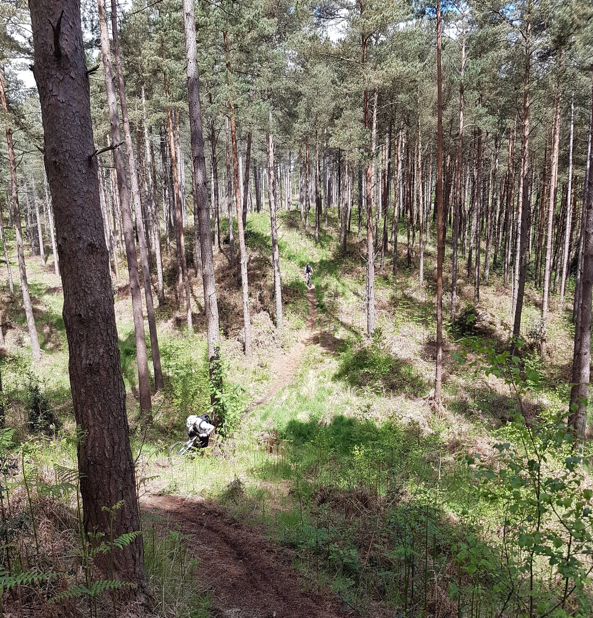 Mountain-Biking-Guided-Rides- &-Organised-Cycle-Tours