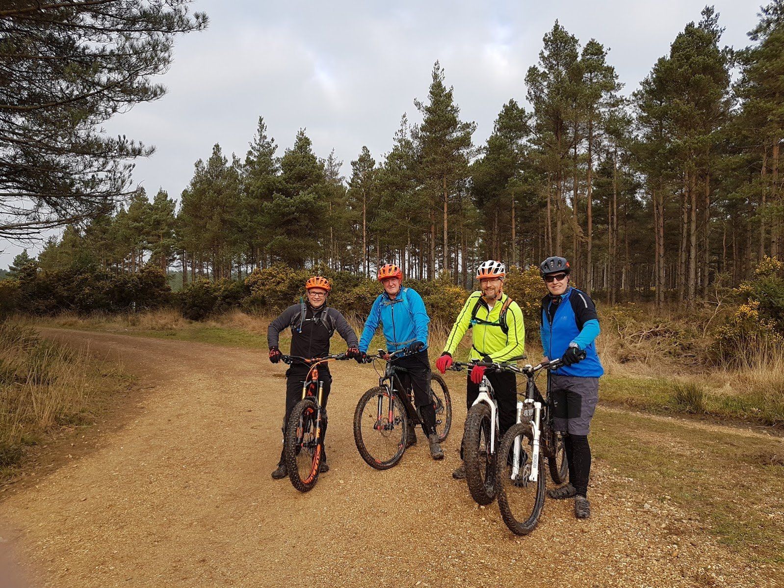 mtb new forest