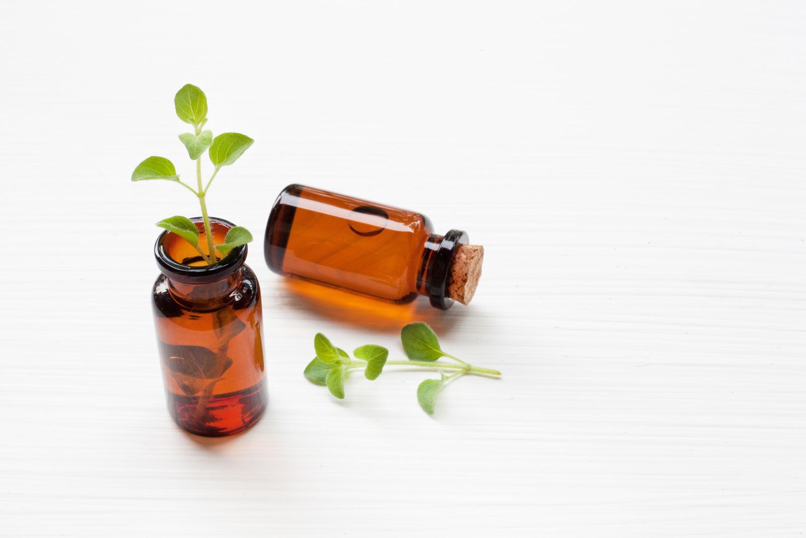 Two bottles of essential oil with a oregano coming out of one of them.