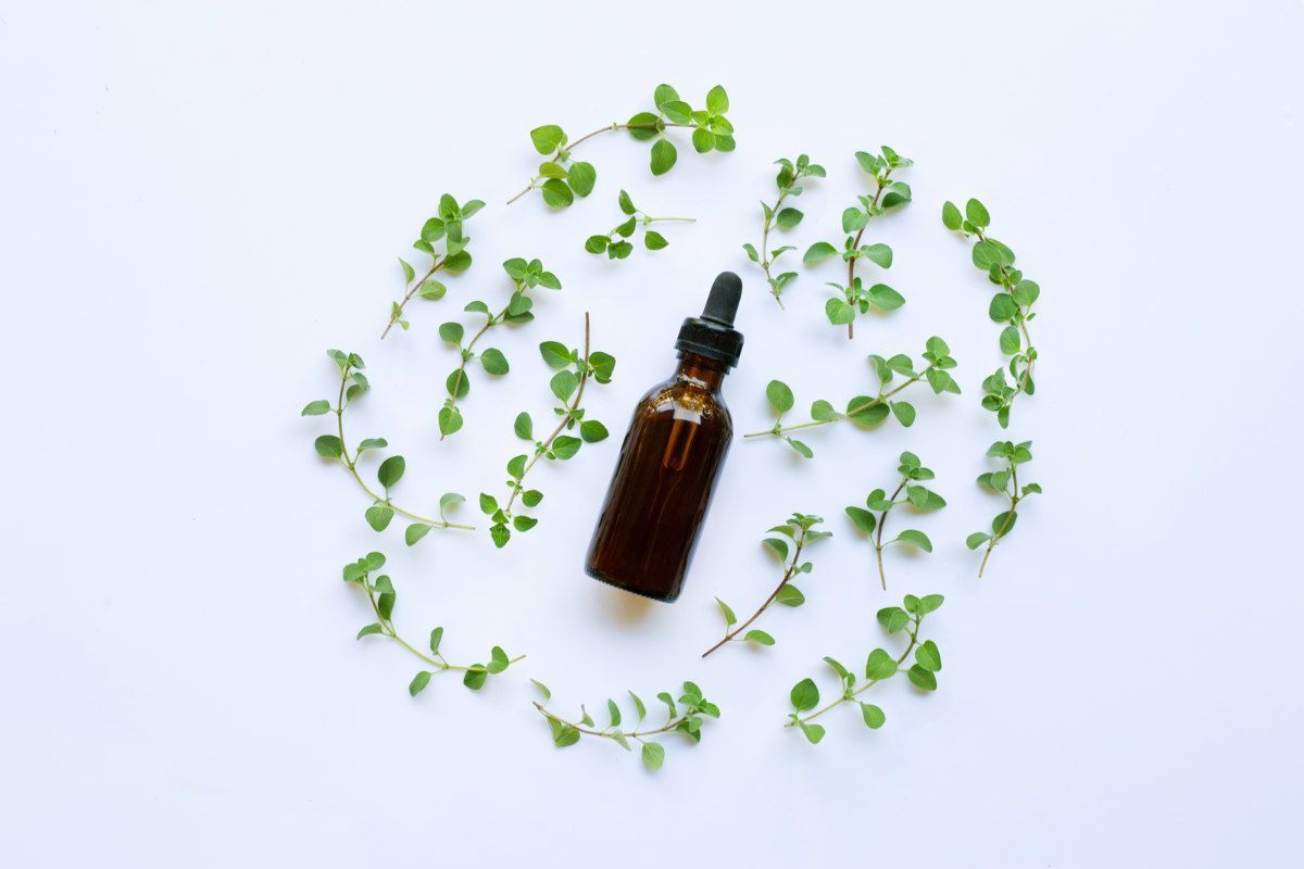 a bottle of essential oil is surrounded by green leaves on a white background .
