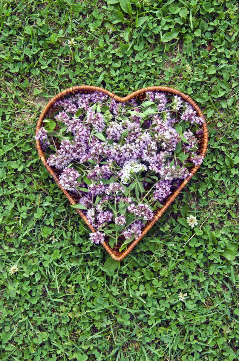 a heart shaped basket filled with purple flowers is sitting on top of a lush green field .