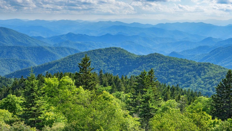 A view of a mountain range with trees in the foreground and mountains in the background.