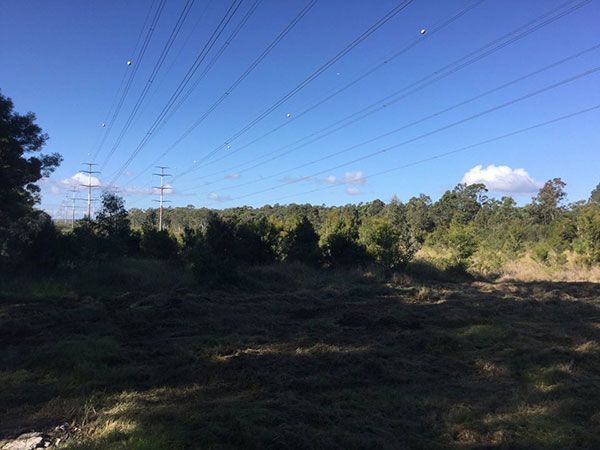 A field with trees and power lines in the background