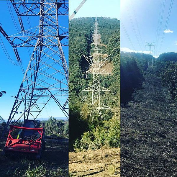 A collage of three pictures of power lines in the woods