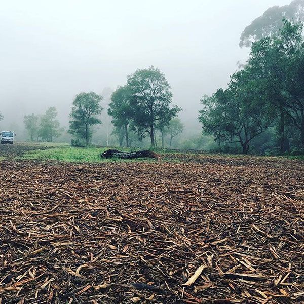 A pile of wood chips in a field with trees in the background