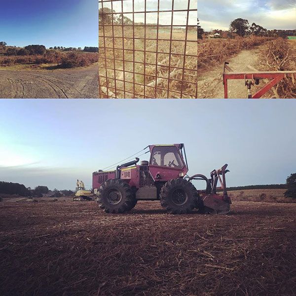 A red tractor is parked in the middle of a field