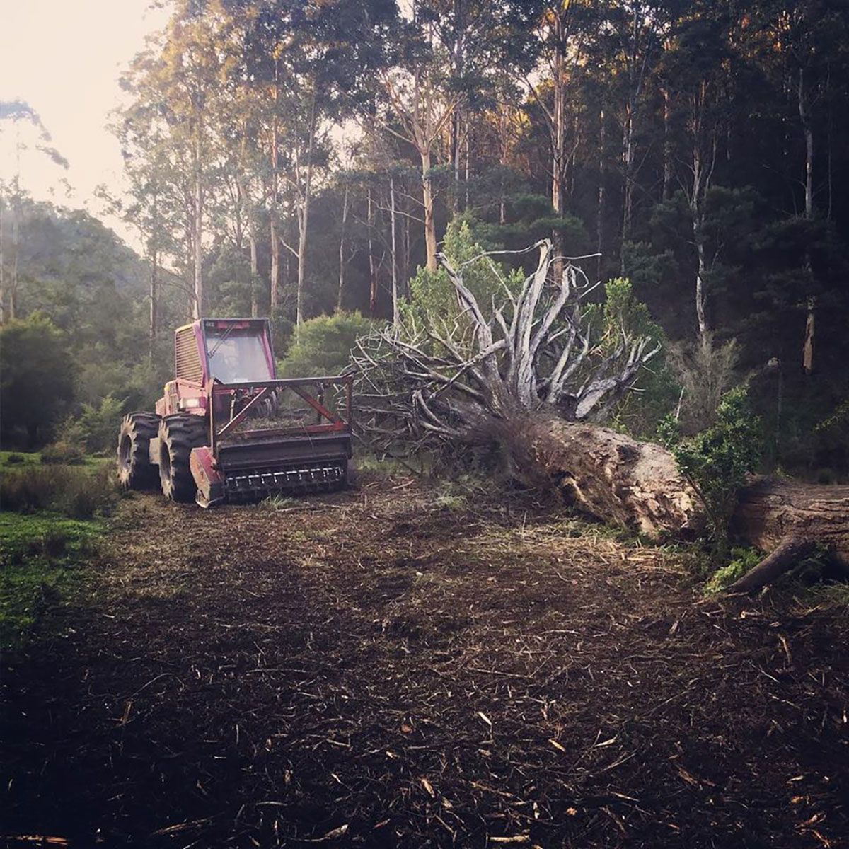 A red tractor is in the middle of a forest