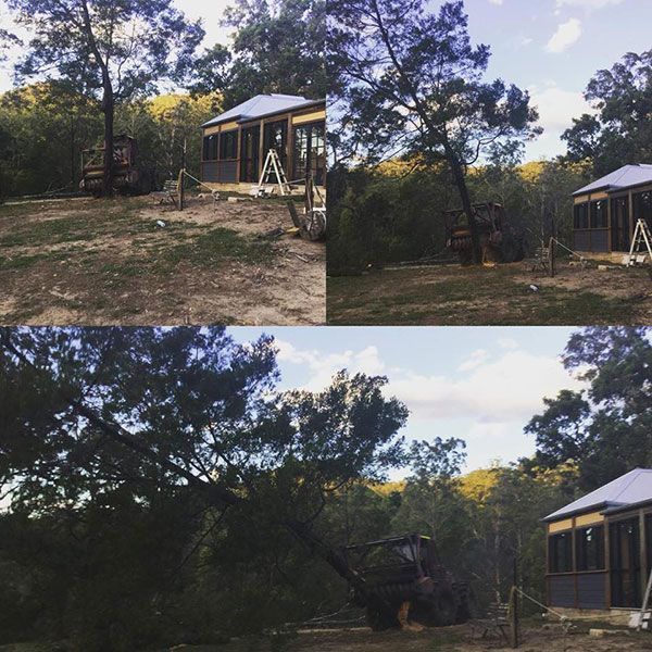 A collage of four pictures of a house in the woods