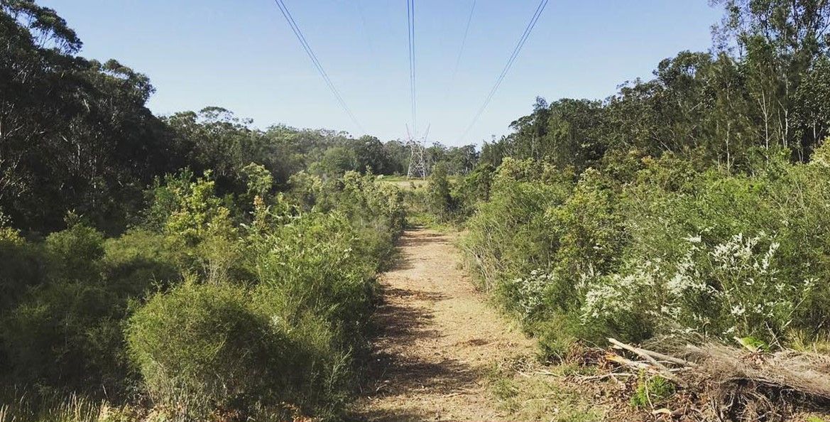 A dirt road surrounded by trees and power lines.