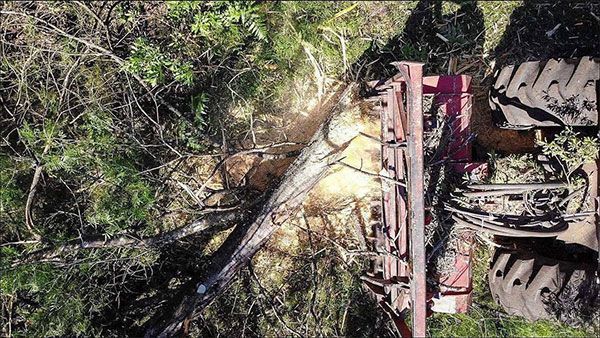 An aerial view of a tree being cut down by a machine.