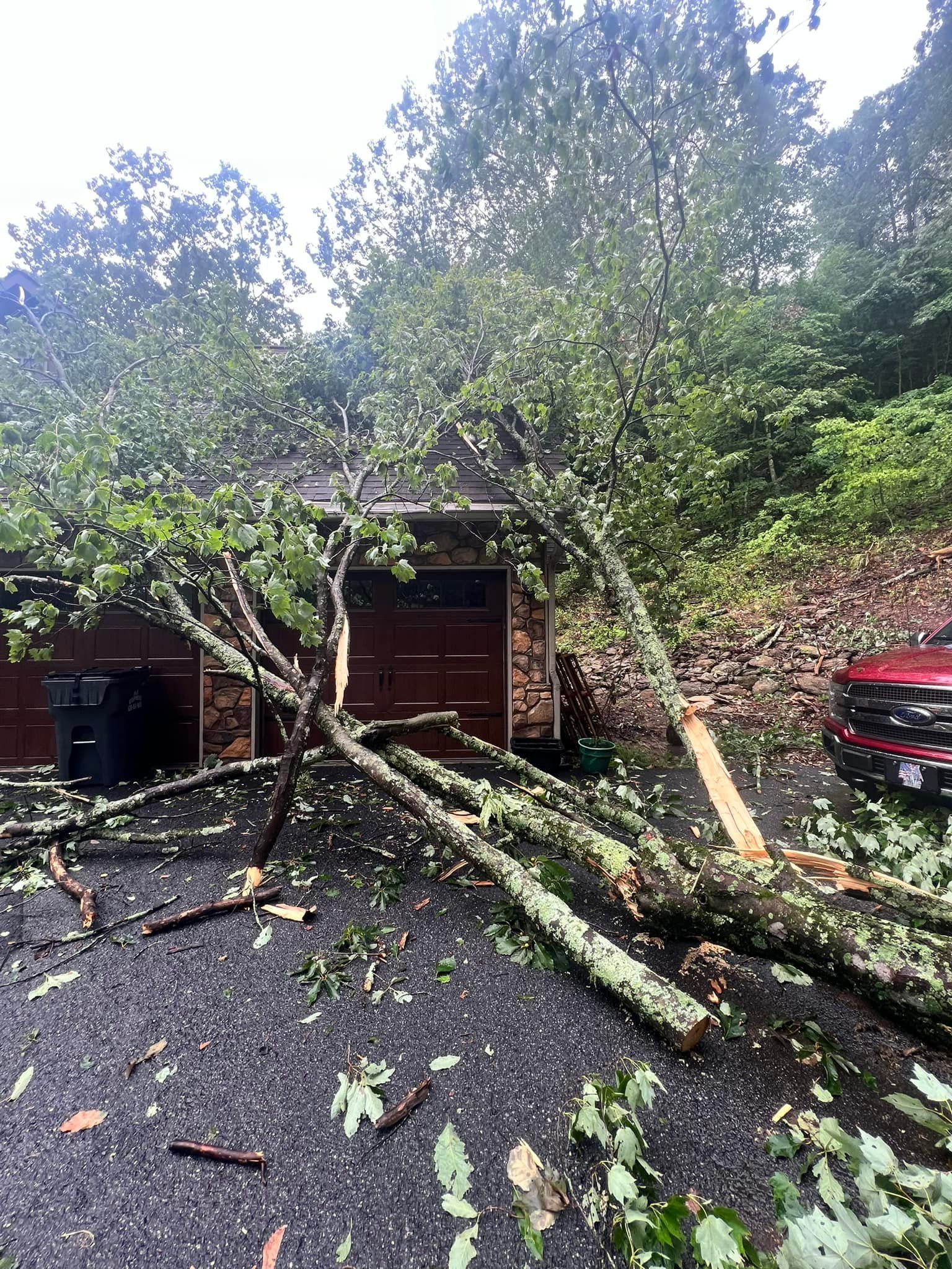 Fallen tree limbs on a gravel driveway, blocking access to a garage. Red vehicle parked nearby.