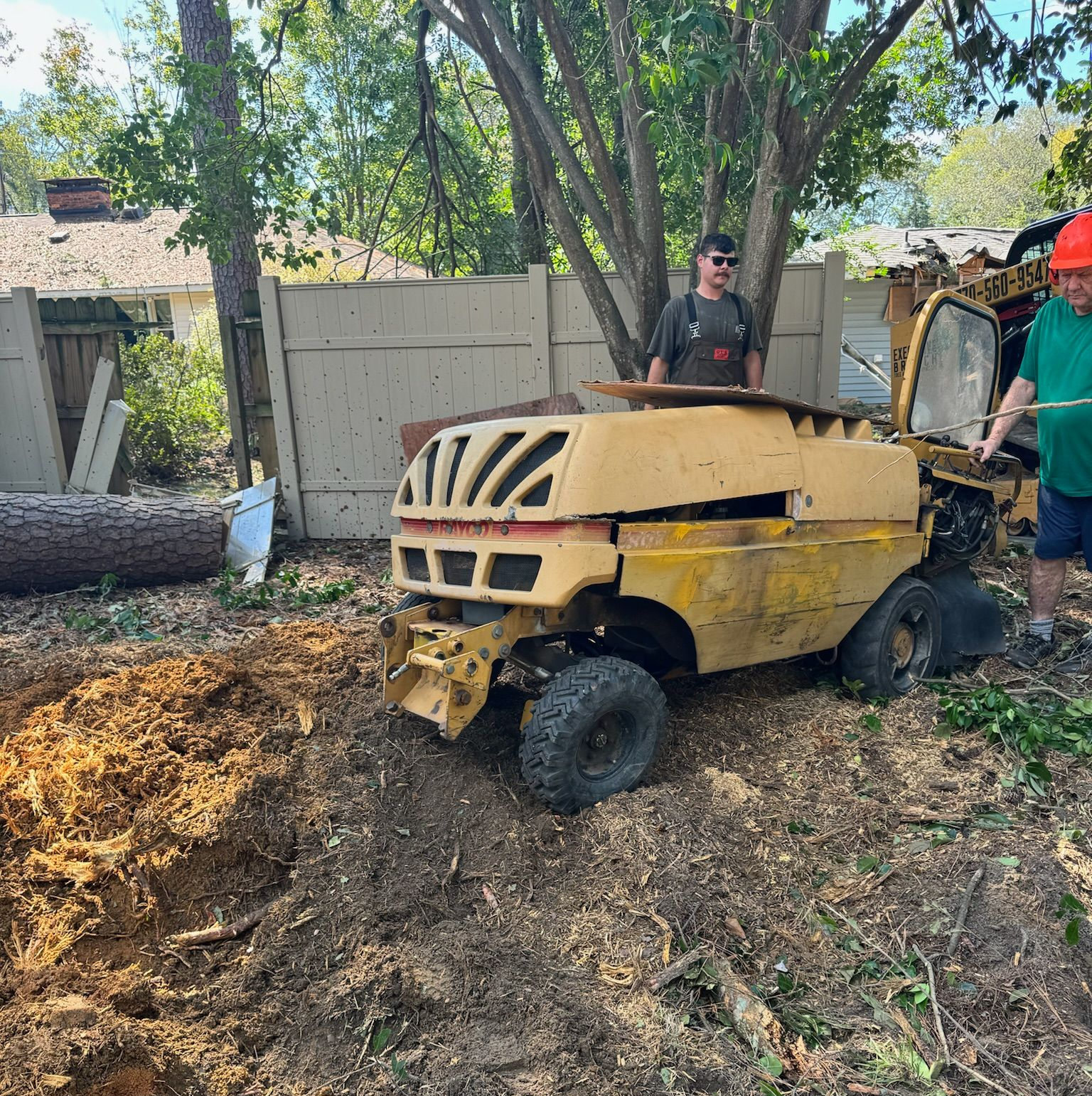 Yellow stump grinder, two workers, grinding tree stump in yard.