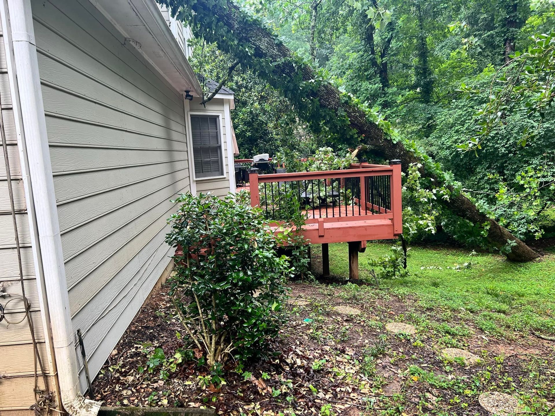 A tree fell on a red deck next to a light-colored house in a wooded area.