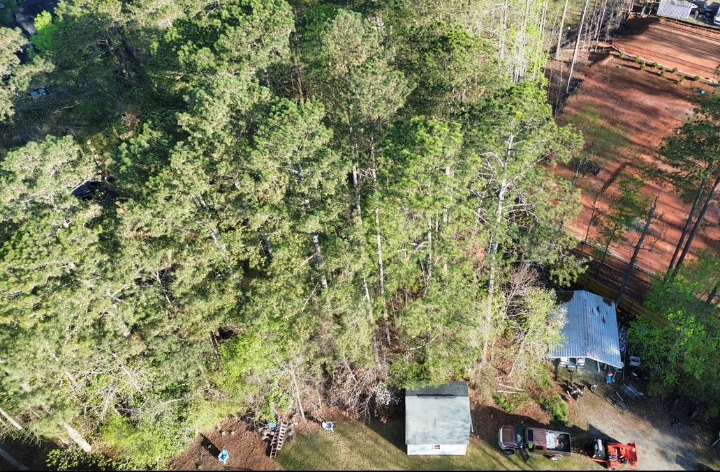 Aerial view of trees, small buildings, and a red vehicle on a plot of land.