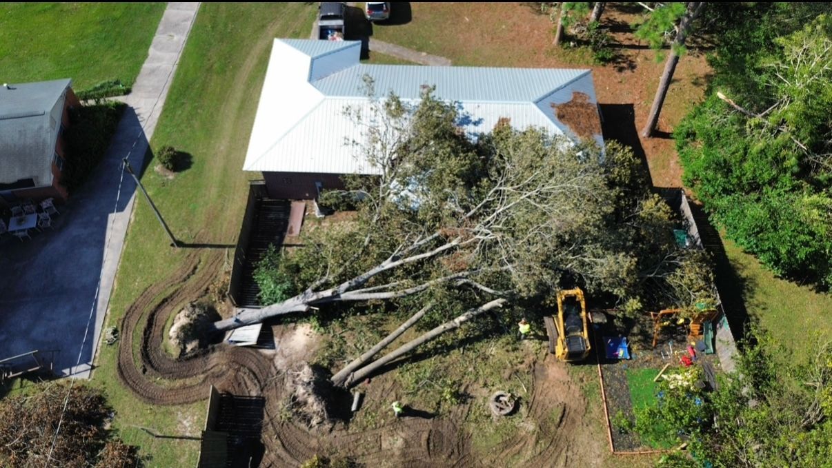 A fallen tree on a house roof. A yellow construction vehicle is present near the house.