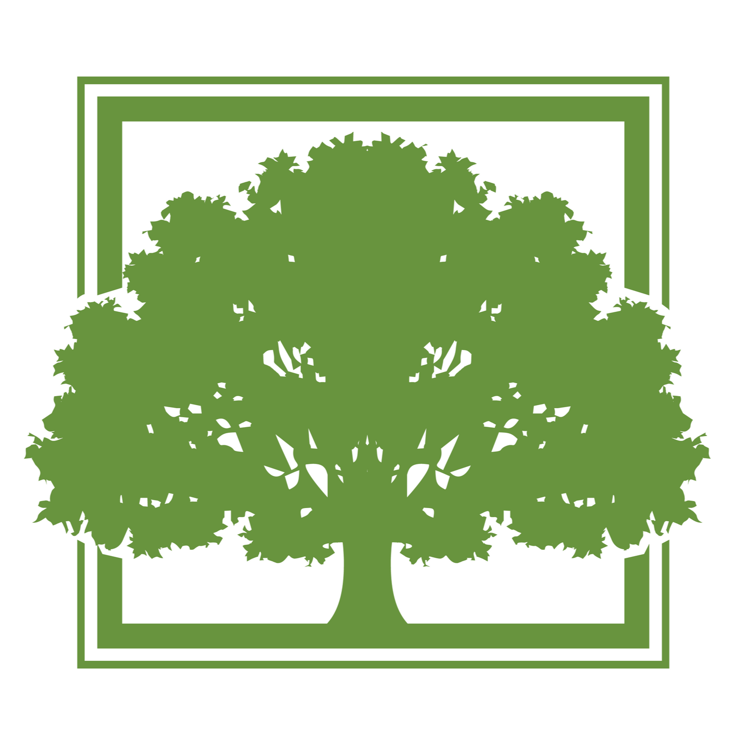 Green oak tree silhouette within a green square frame.