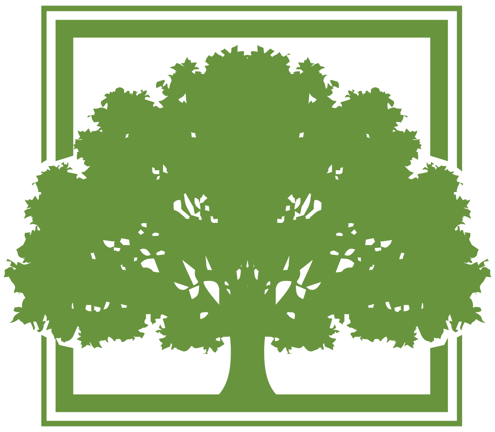 Green oak tree silhouette inside a green-lined white square.