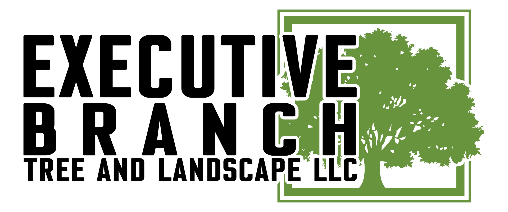 Executive Branch Tree and Landscape LLC logo with a tree illustration.