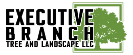Executive Branch Tree and Landscape LLC logo with a tree illustration.