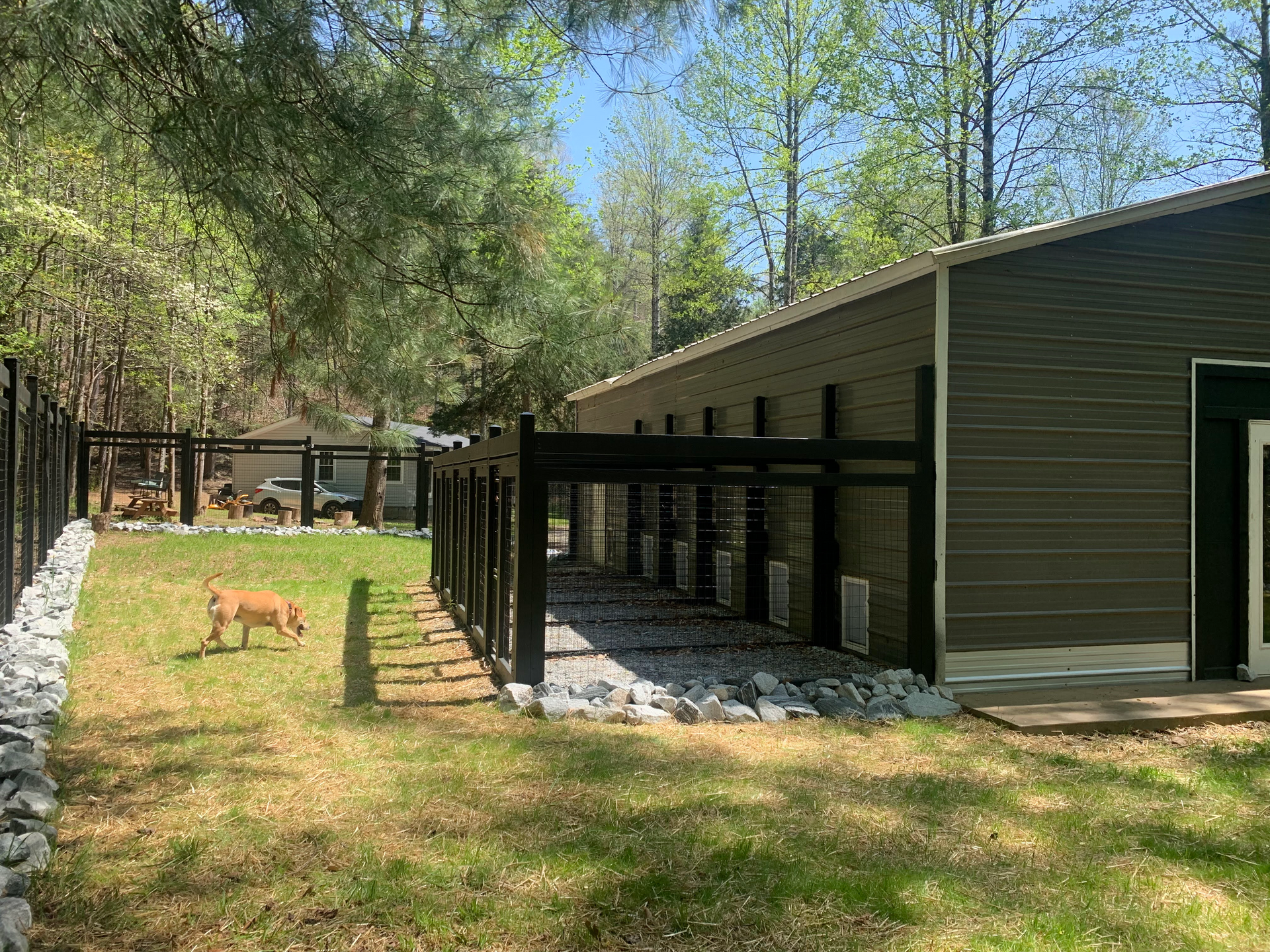 Dog Boarding in Clemson SC at Bark Barn of Clemson